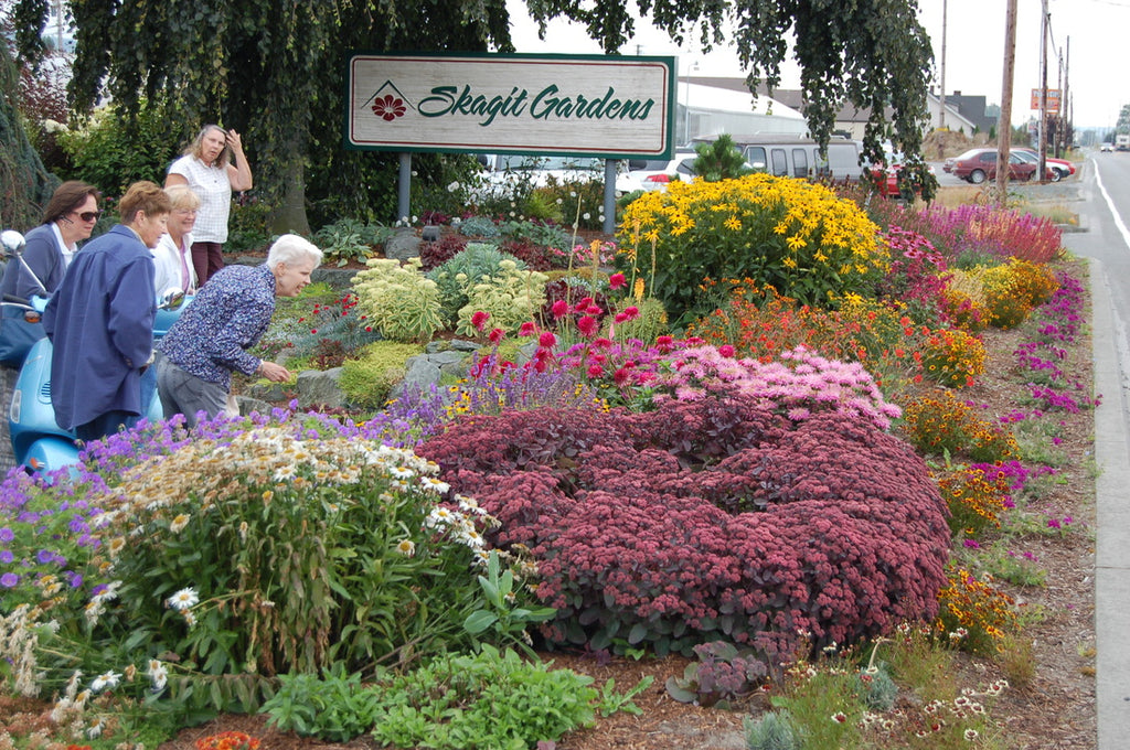 August 18, 2011 - Skagit Gardens Wholesale Facility Tour