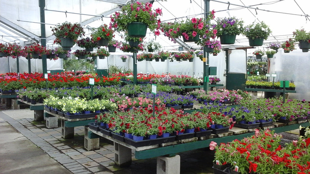 July 18, 2019 - Tour of Flower World in Maltby, WA