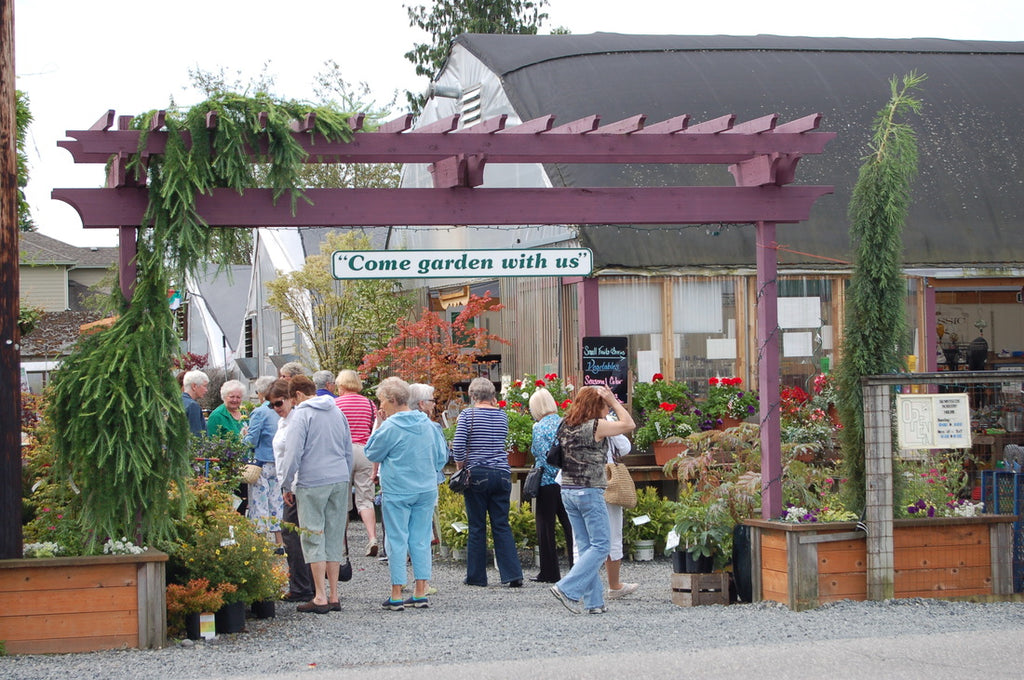 June 20, 2012 - Sunnyside Nursery Tour