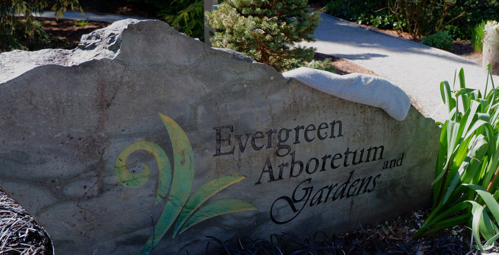 Thursday, April 17, 2025 Spring Tour at Evergreen Arboretum